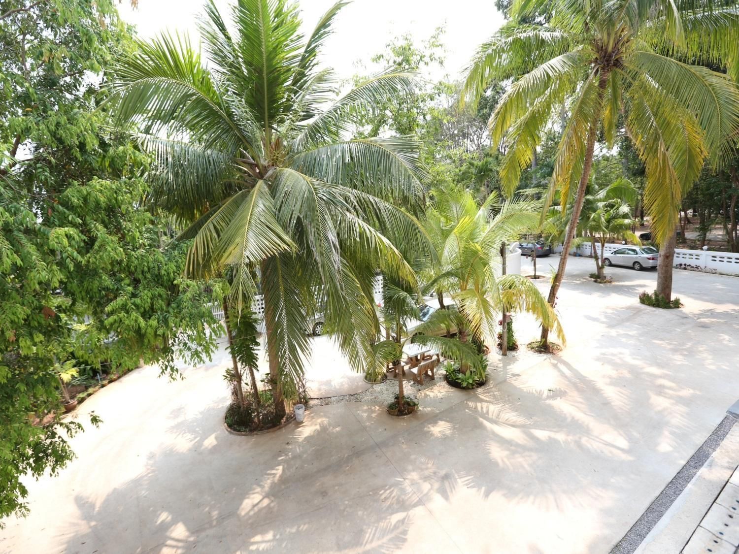 المظهر الخارجي