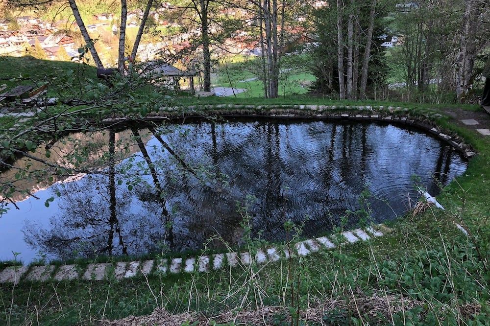 المظهر الخارجي