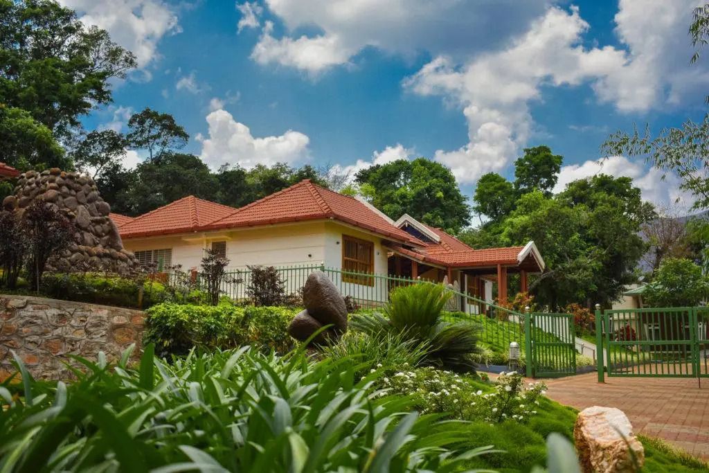 المظهر الخارجي