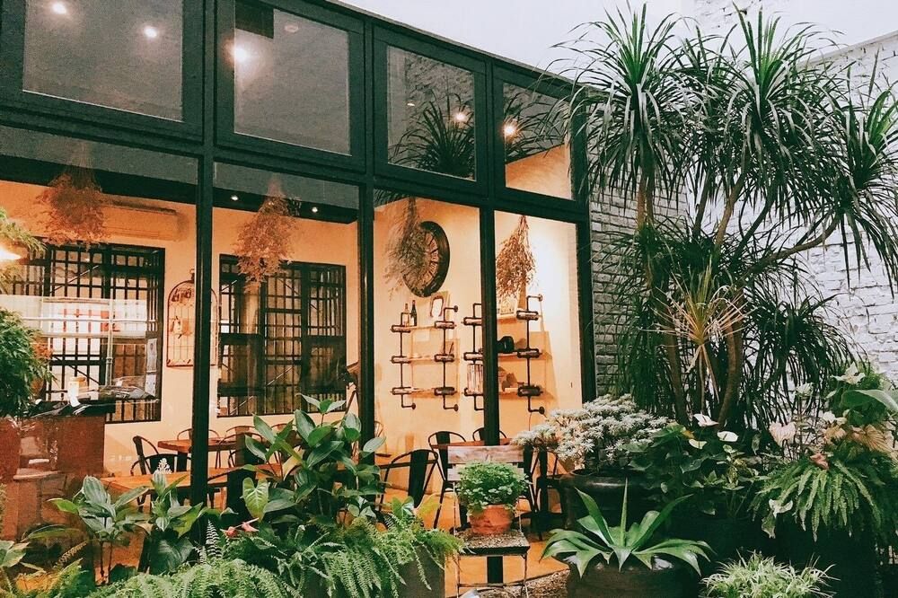 المظهر الخارجي