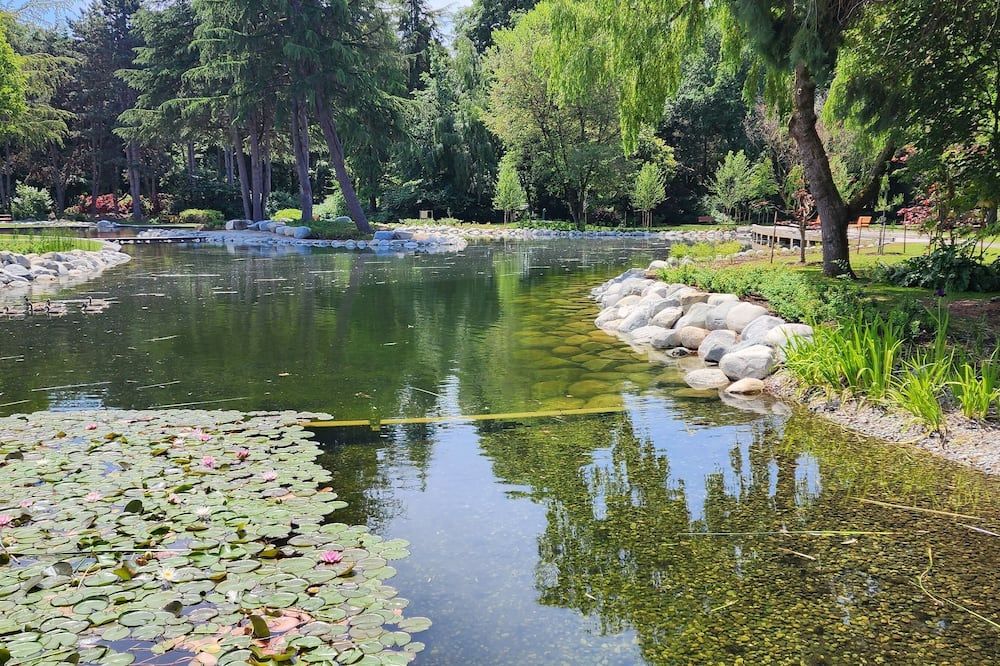 المظهر الخارجي