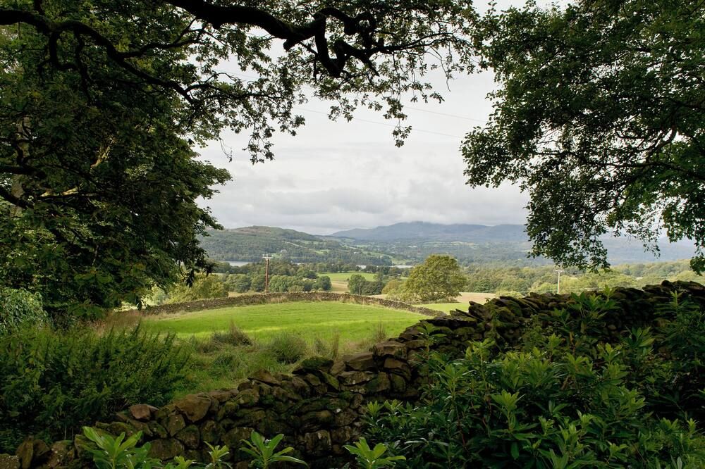 المظهر الخارجي