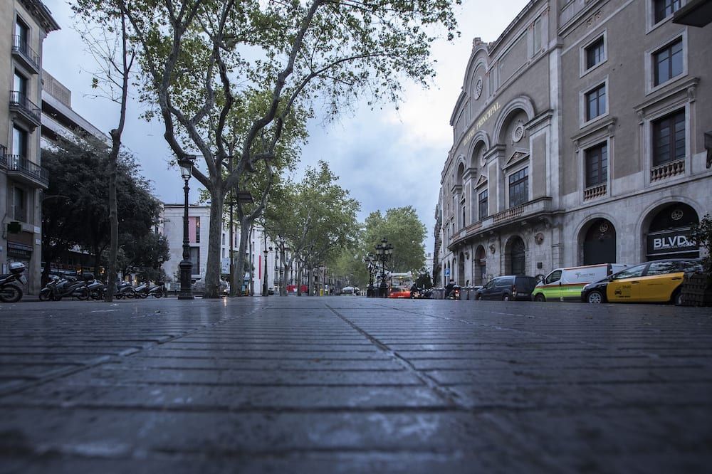 المظهر الخارجي