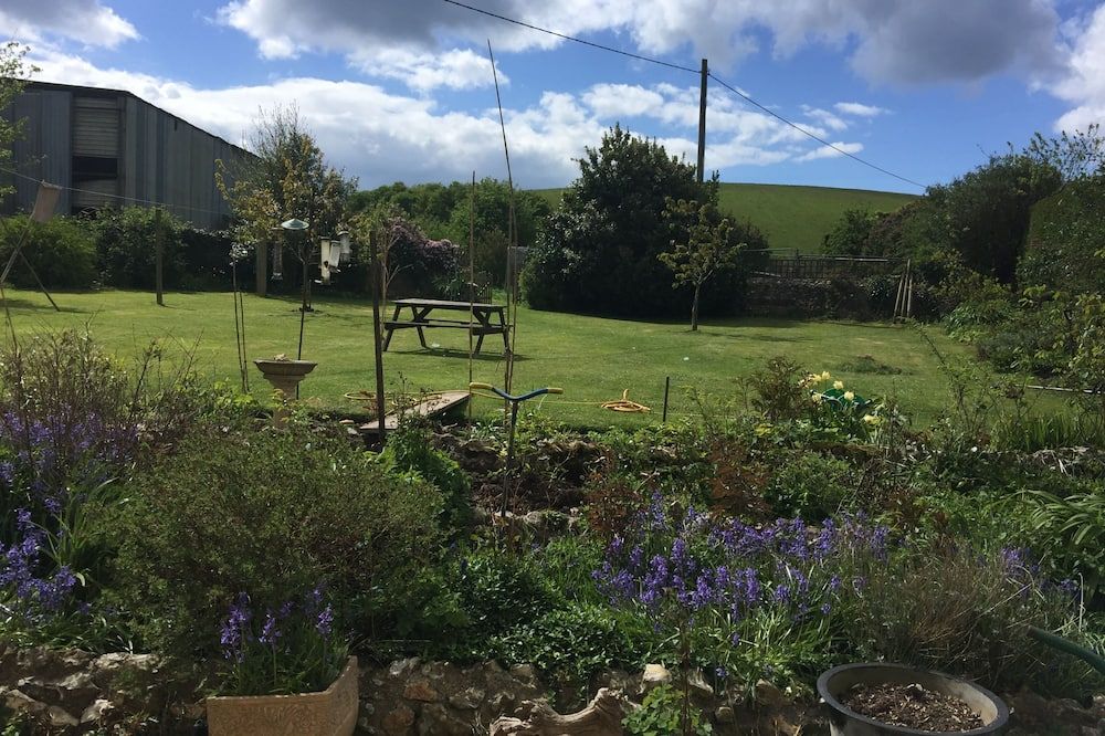 المظهر الخارجي