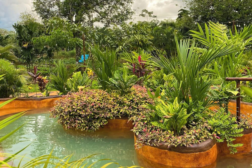 المظهر الخارجي