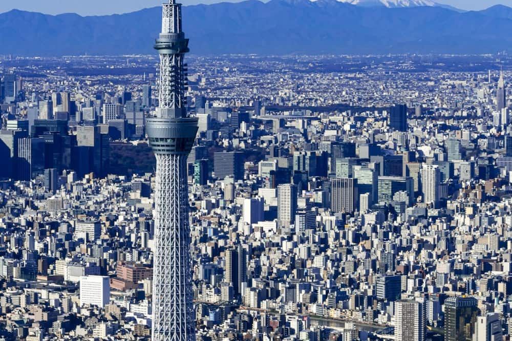 المظهر الخارجي