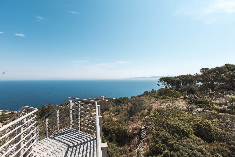 المظهر الخارجي