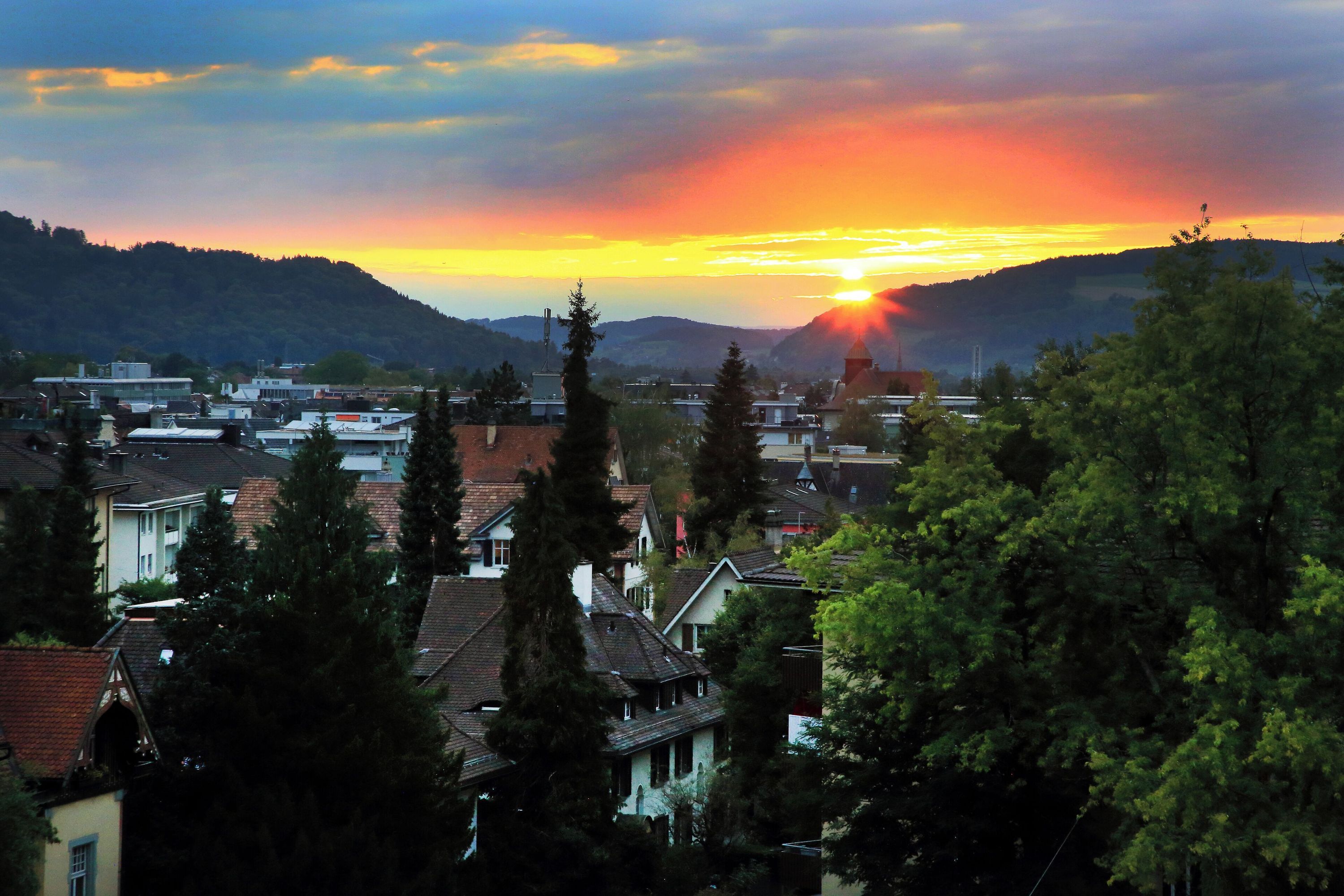 المظهر الخارجي