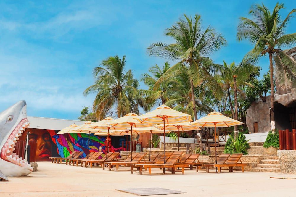 المظهر الخارجي