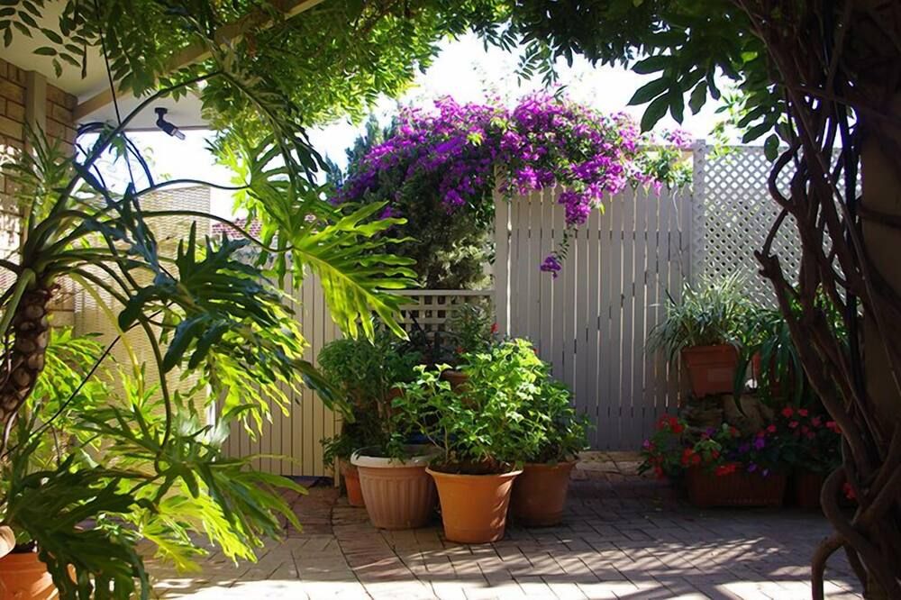 المظهر الخارجي