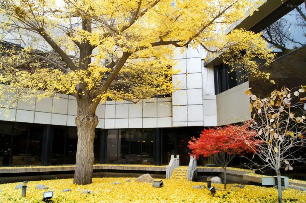 المظهر الخارجي