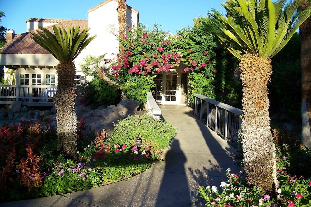 المظهر الخارجي