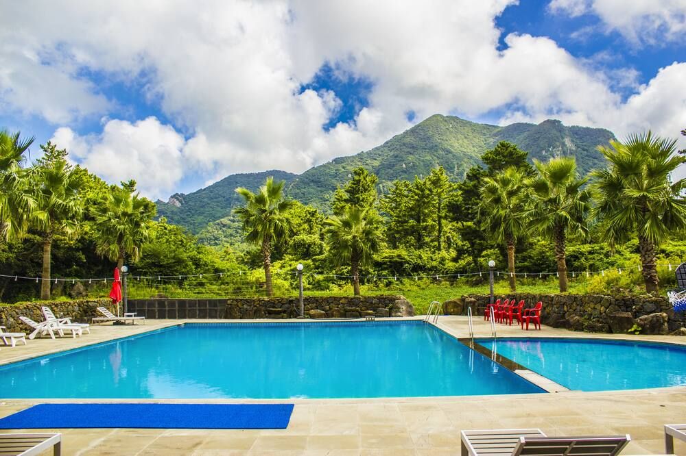 حوض السباحة