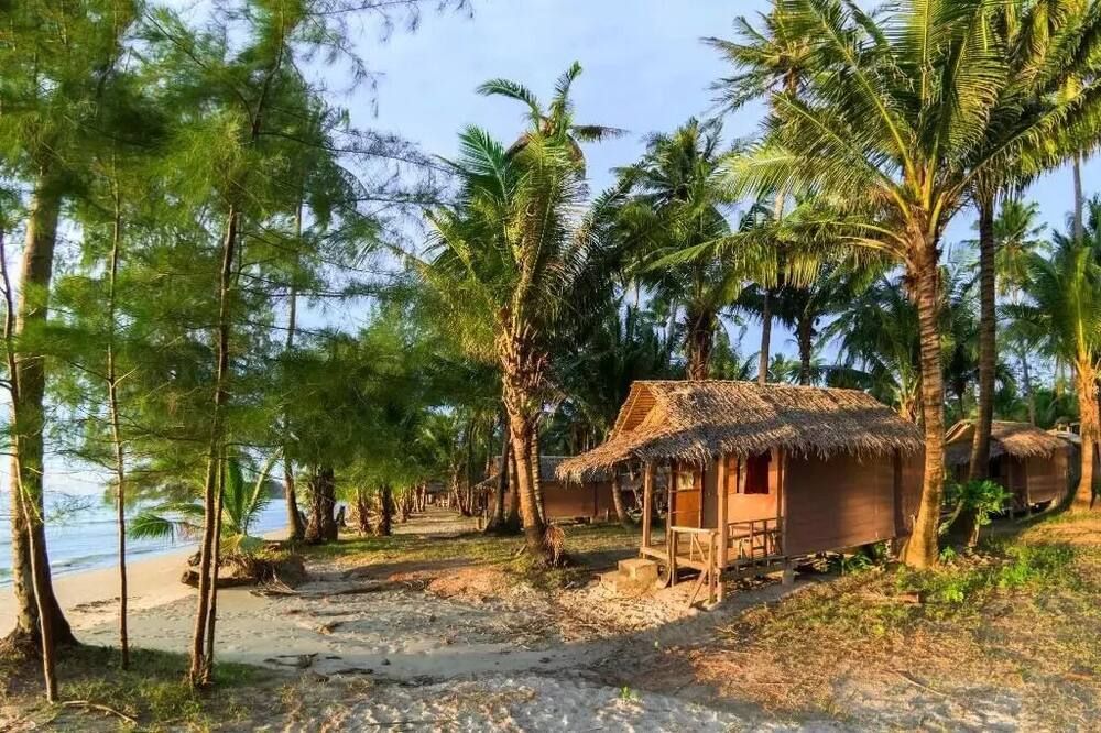 المظهر الخارجي