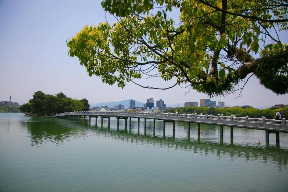 المظهر الخارجي