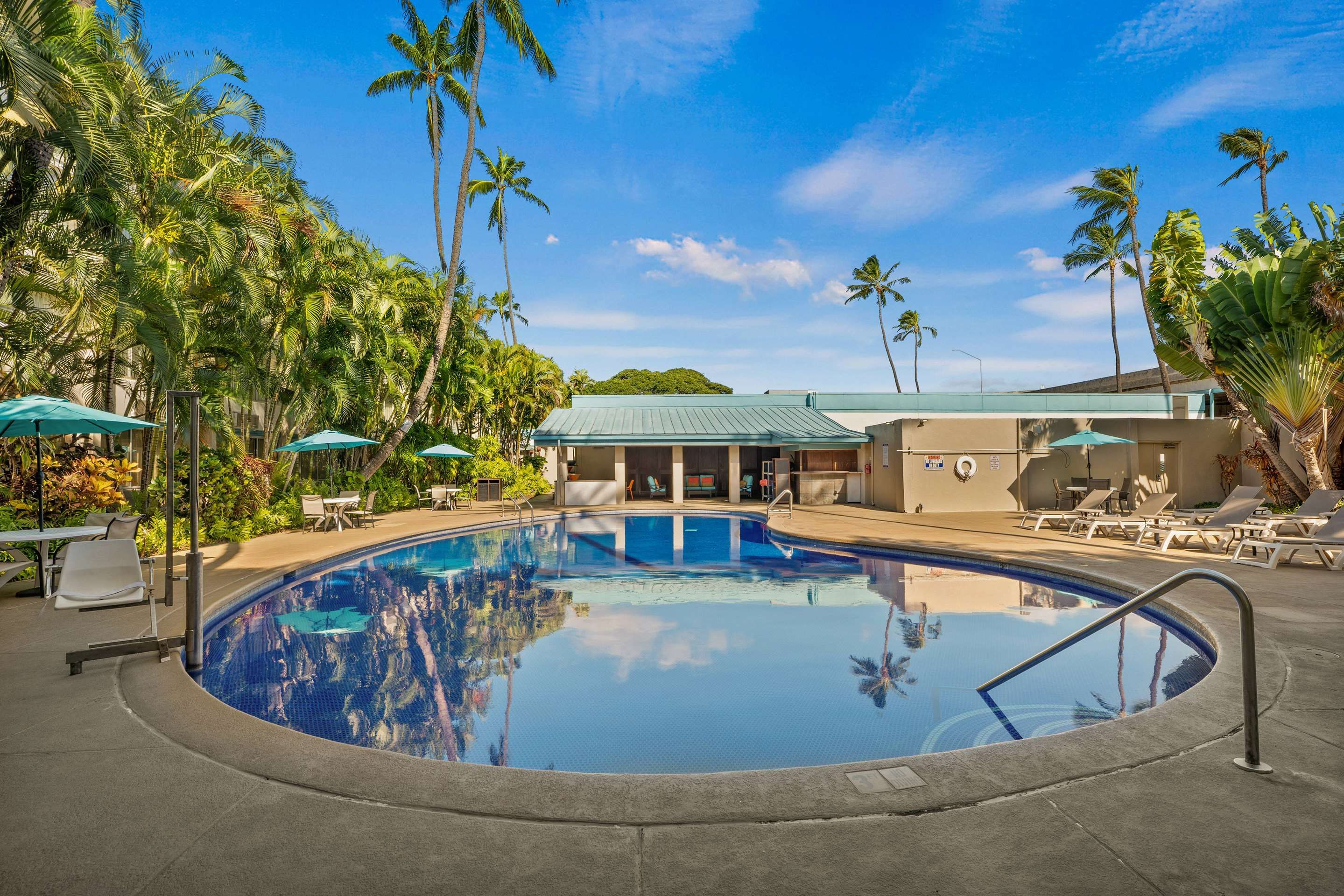 حوض السباحة