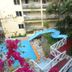 المظهر الخارجي