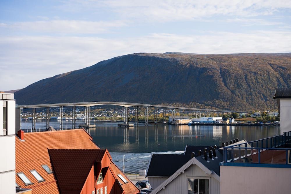 المظهر الخارجي