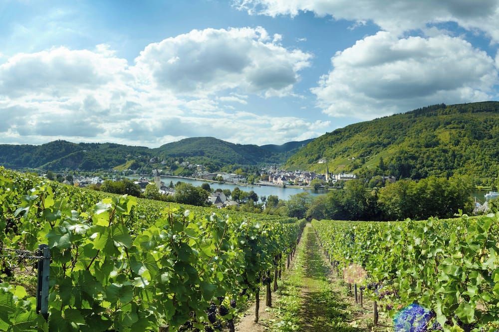 المظهر الخارجي