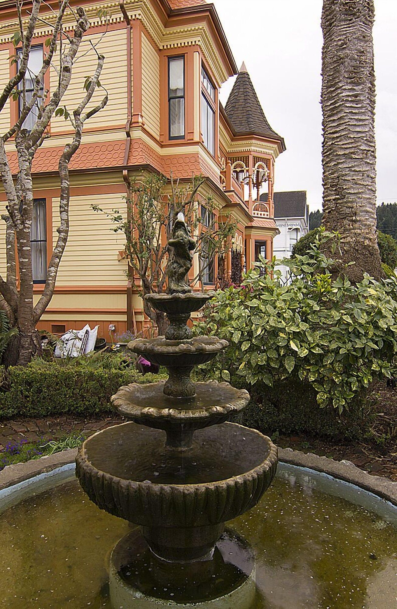 المظهر الخارجي