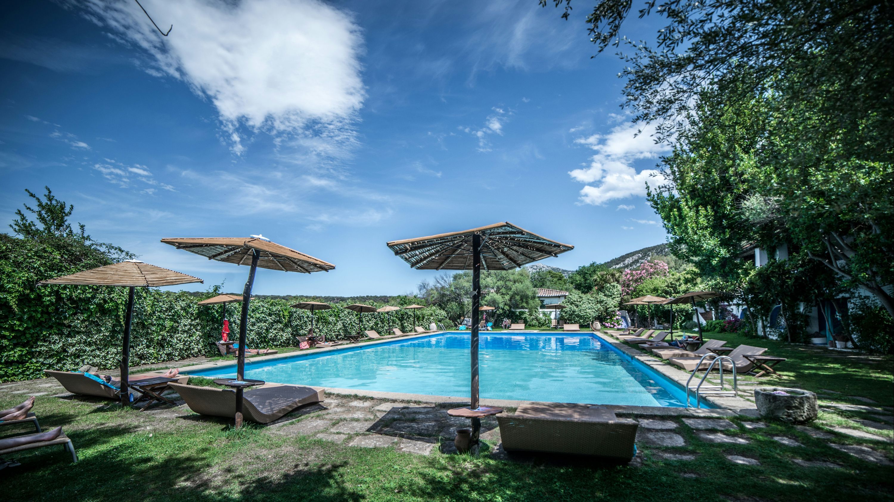 حوض السباحة