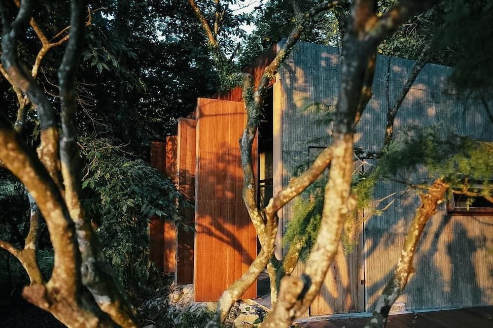 المظهر الخارجي