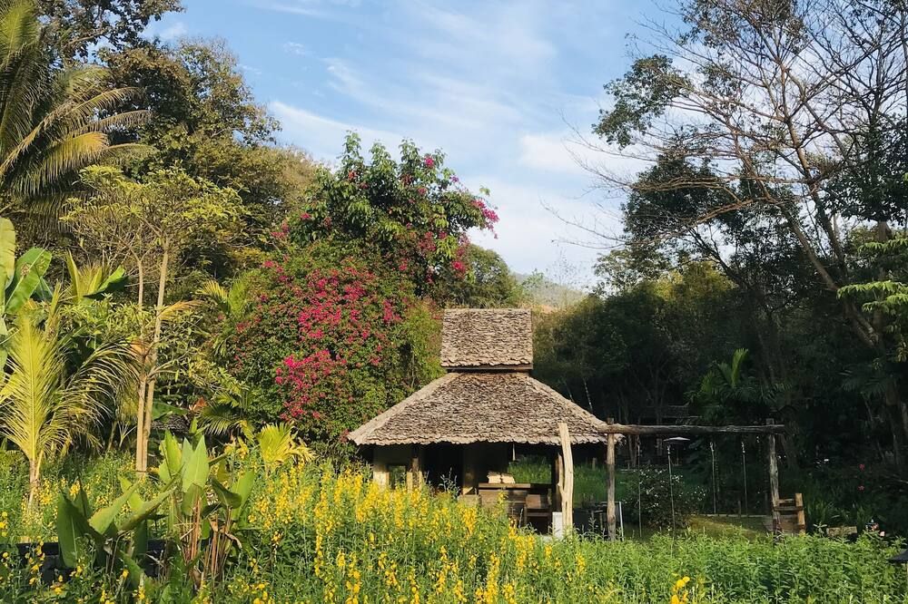 المظهر الخارجي