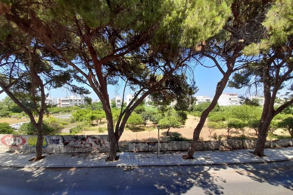 المظهر الخارجي