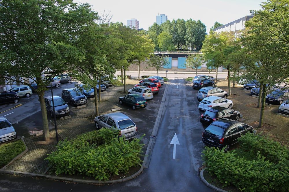 المظهر الخارجي