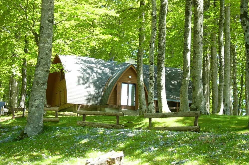 المظهر الخارجي