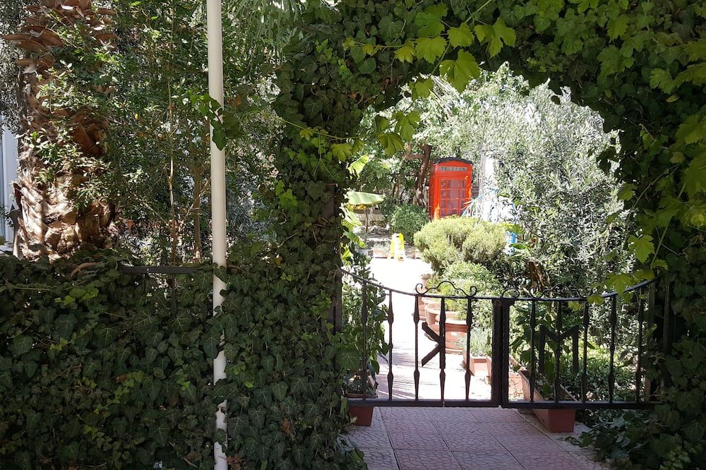 المظهر الخارجي