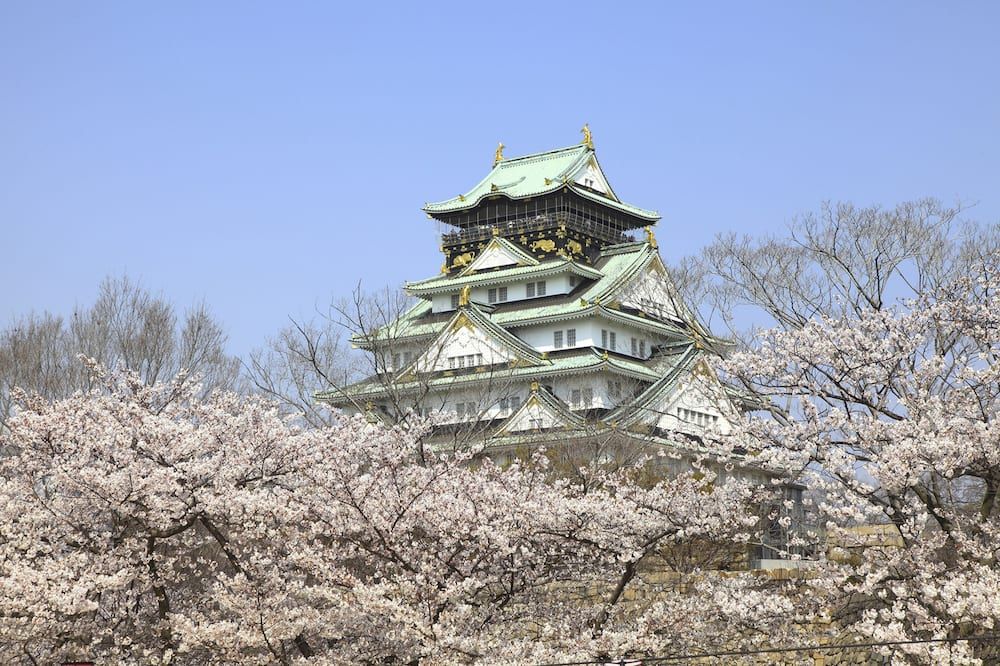 المظهر الخارجي