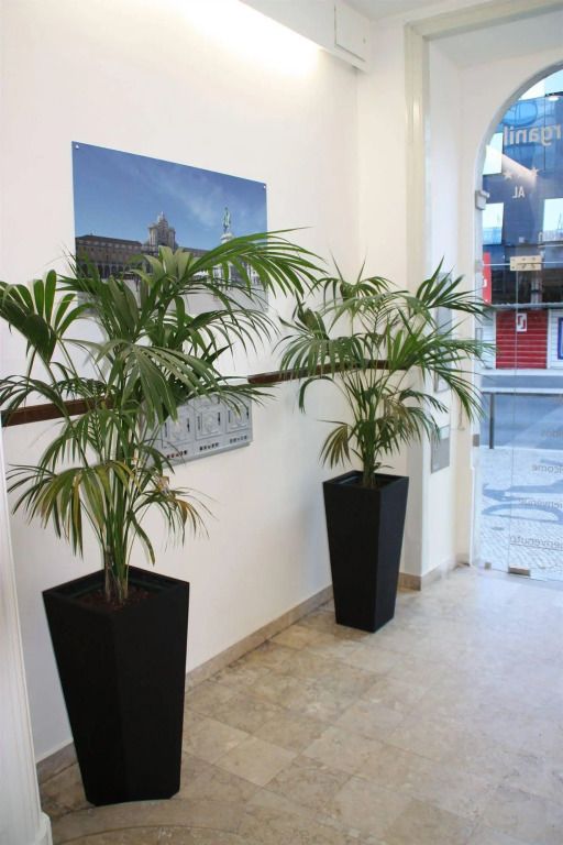 المظهر الخارجي