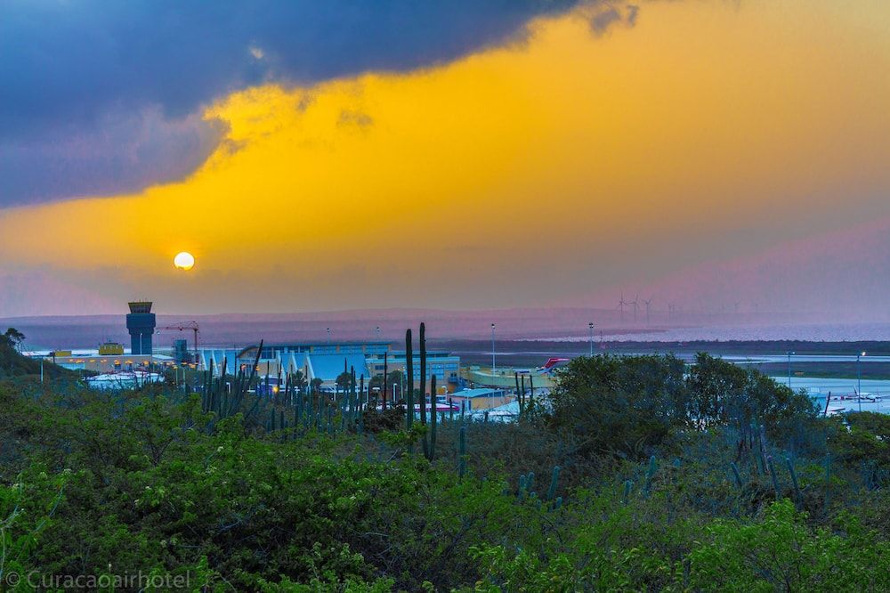 المظهر الخارجي