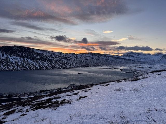 المظهر الخارجي