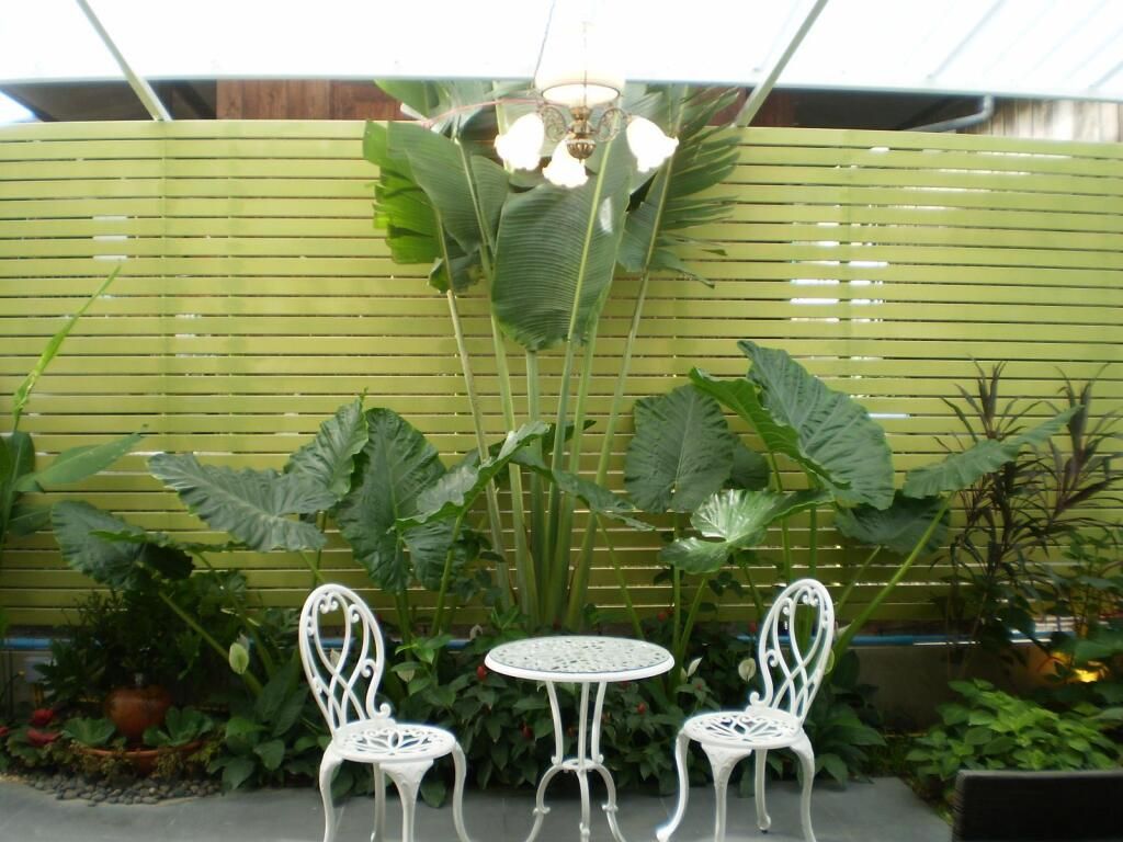 شرفة مرصوفة