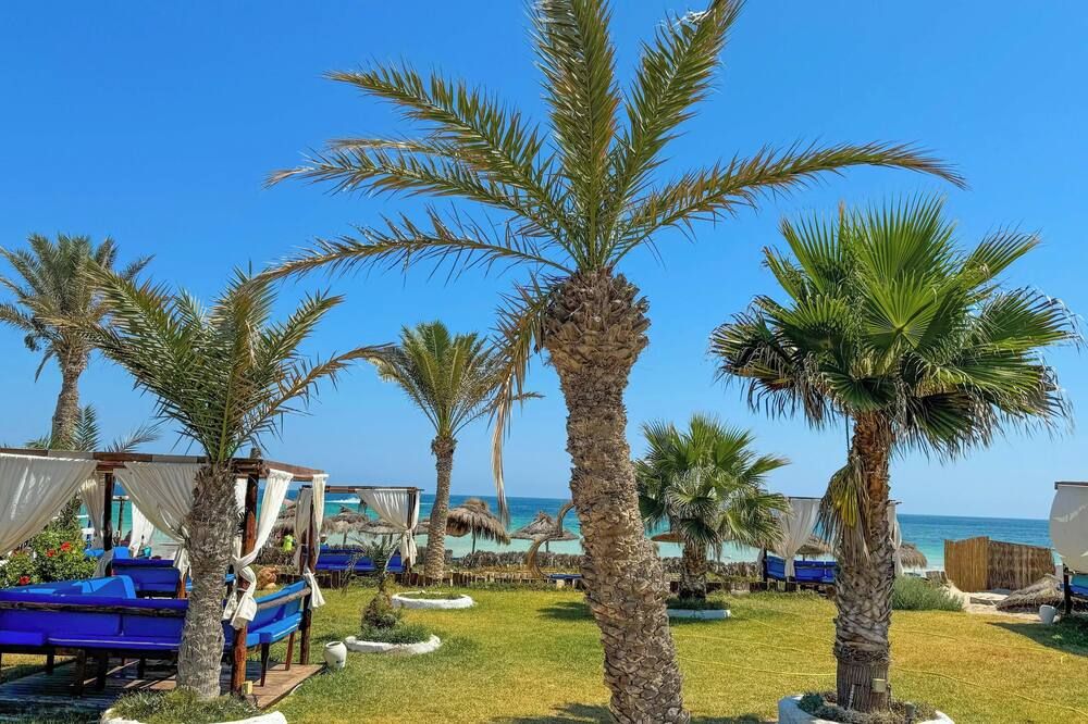 المظهر الخارجي