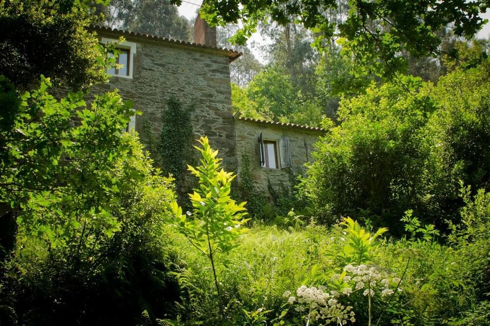 المظهر الخارجي