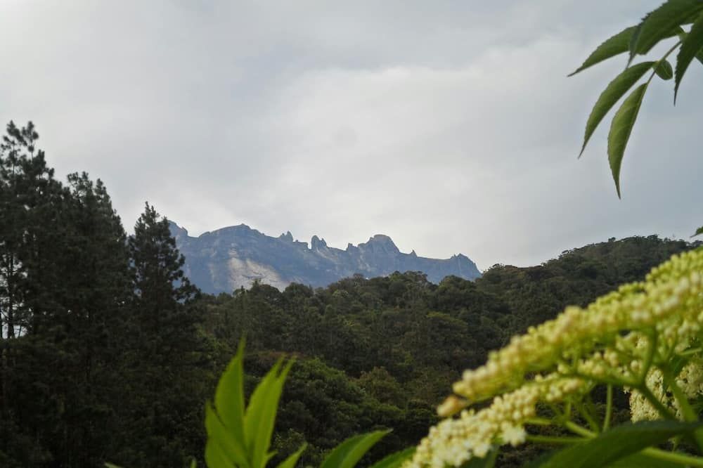 المظهر الخارجي