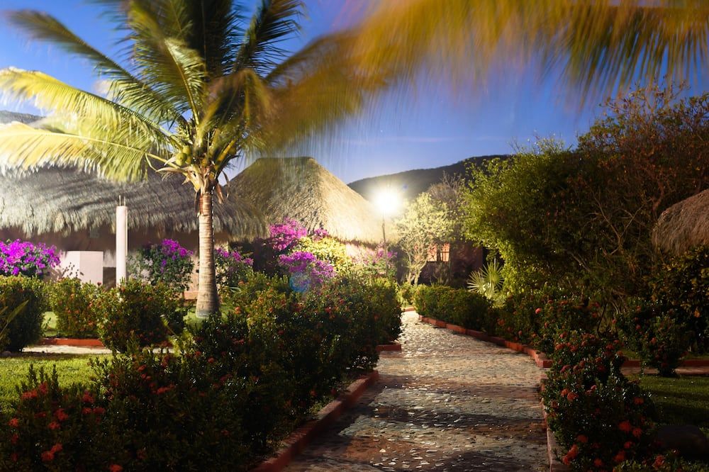 المظهر الخارجي