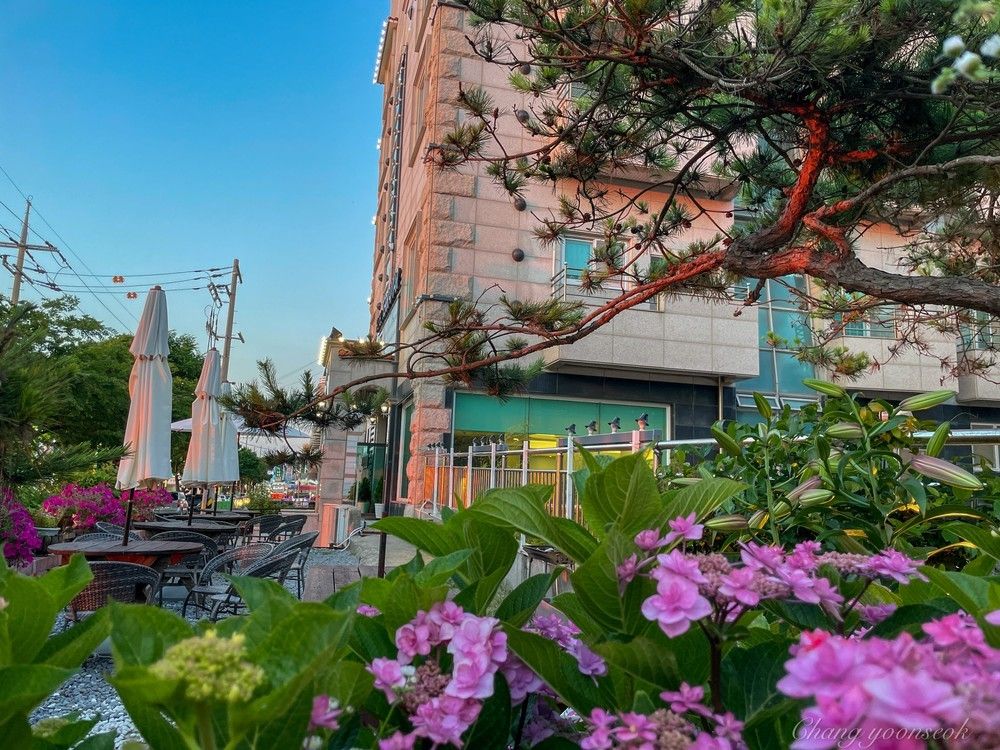 المظهر الخارجي