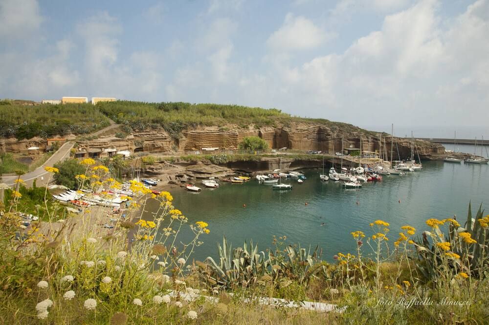 المظهر الخارجي