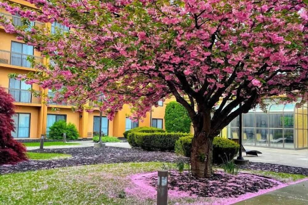 المظهر الخارجي