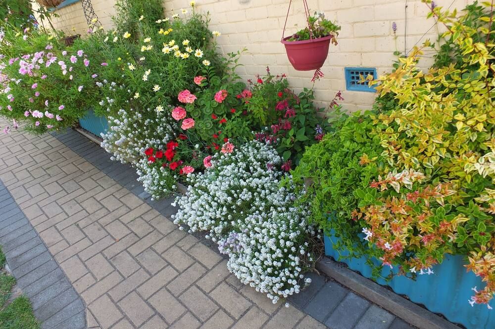 المظهر الخارجي