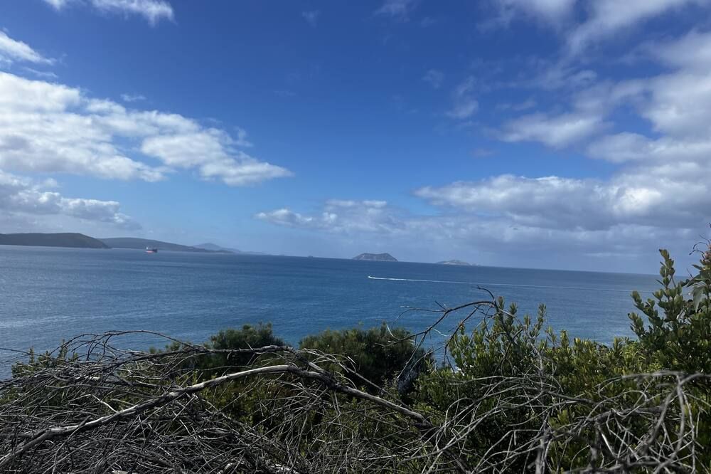 المظهر الخارجي