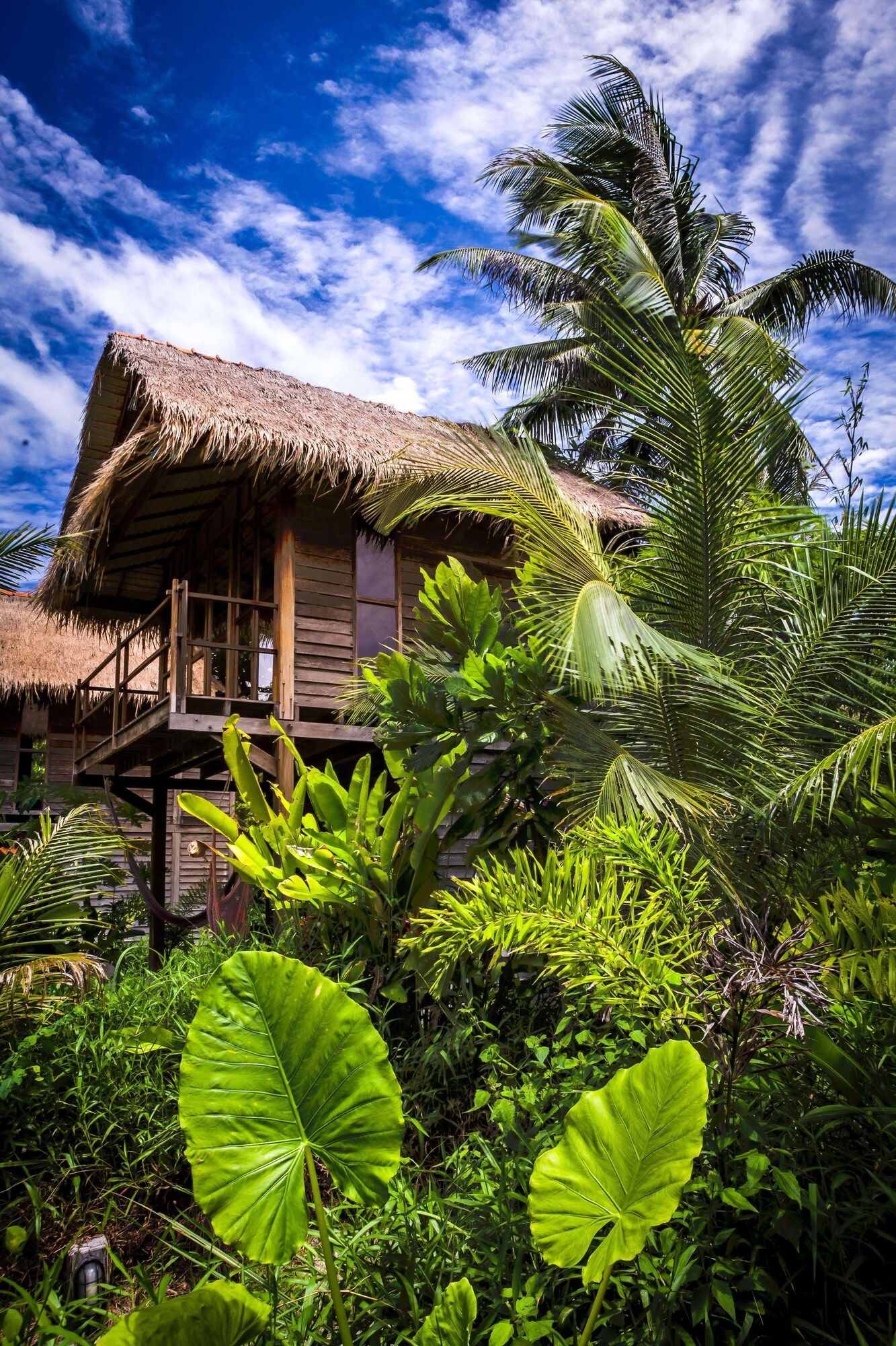 المظهر الخارجي