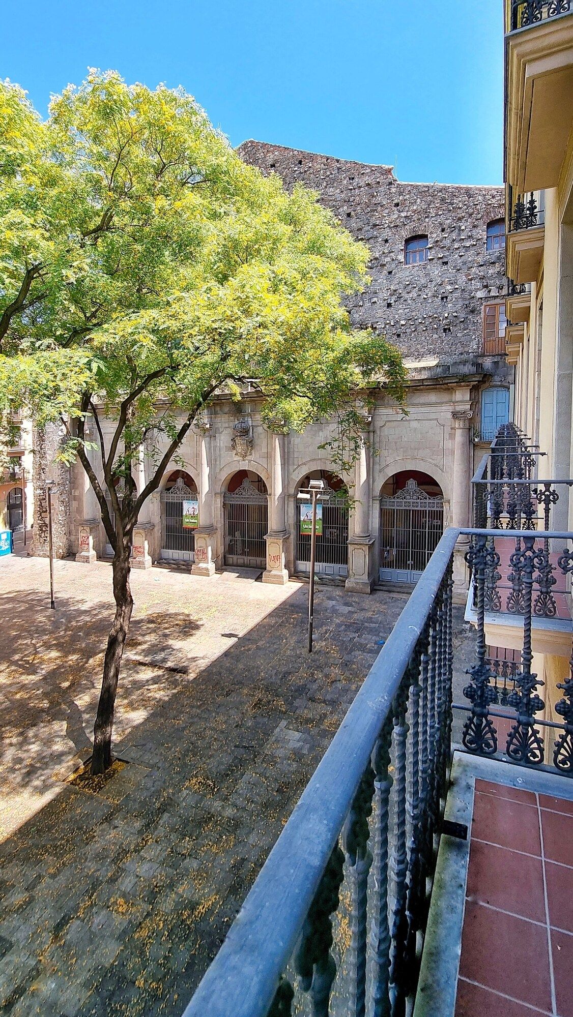 المظهر الخارجي