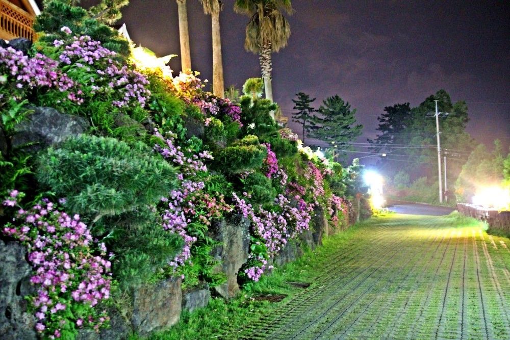 المظهر الخارجي