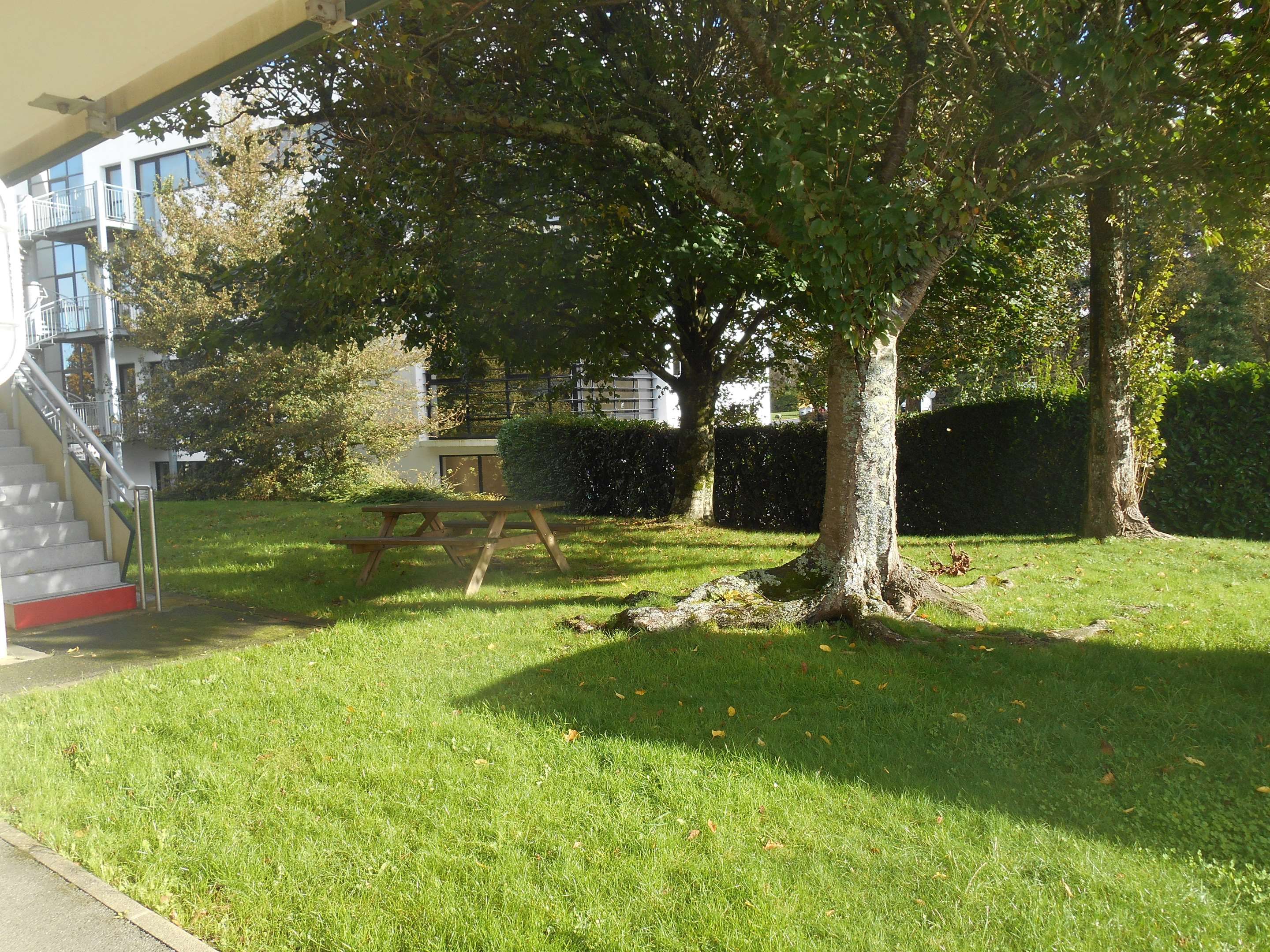 المظهر الخارجي