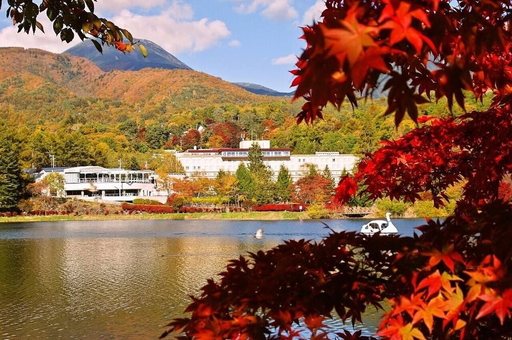 المظهر الخارجي